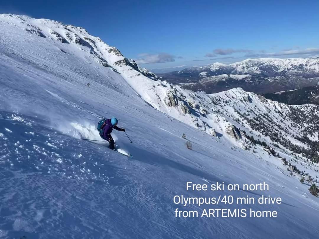 Artemis Home Pétra Zewnętrze zdjęcie